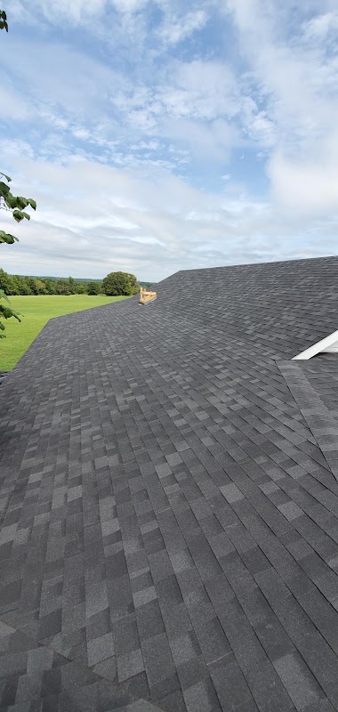 Temo Roofing & Metal photo 1